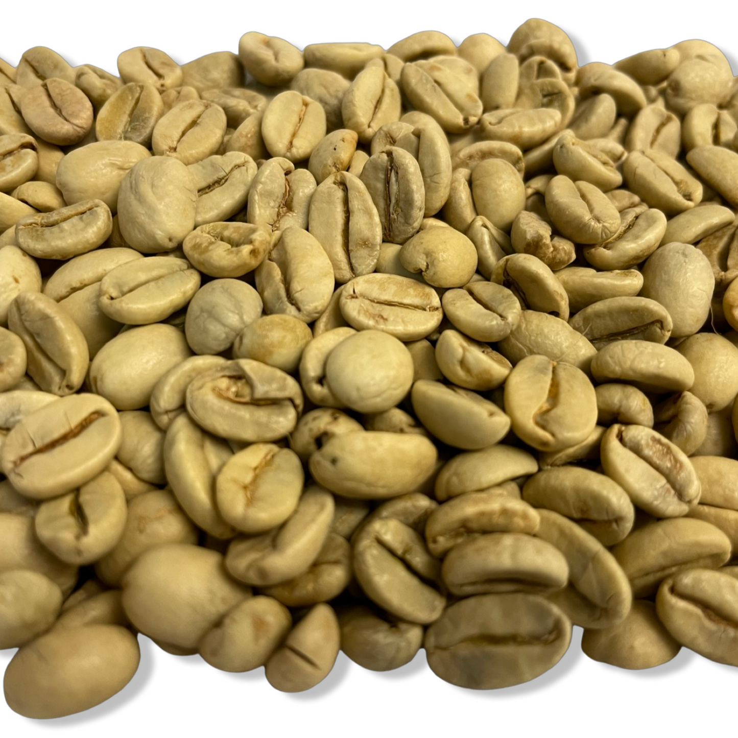 Indian Monsoon Malabar